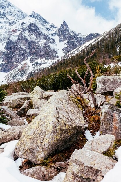 Fairy Meadows Post