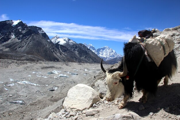 Khaplu page feature image
