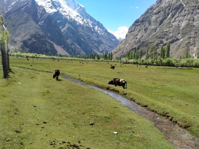 Darkut On the way to Yasin Valley-Darkut